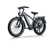 Himiway D5 Pro | Premium All-terrain Electric Fat Bike