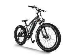 Himiway D3 (Cruiser) | Long Range Fat Tire Electric Bike