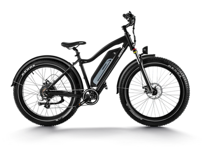 Himiway D3 (Cruiser) | Long Range Fat Tire Electric Bike