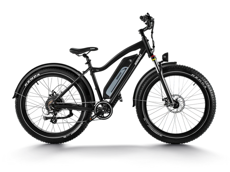 Himiway D3 (Cruiser) | Long Range Fat Tire Electric Bike