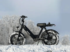 Himiway Escape Pro | Long Range Moped-Style Electric Bike